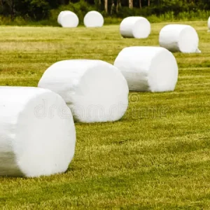 Balplast och Nät